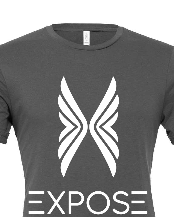 Gray Unisex Tee | White Wings | Sustainable Equity Apparel